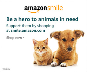 AmazonSmile2